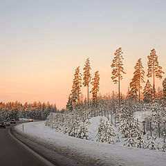 photo "Sunrise above a road."