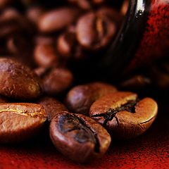 фото "coffe"