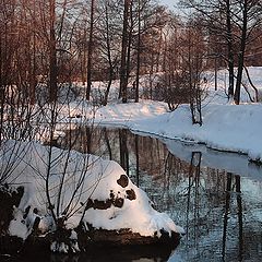 фото "Мороз и солнце....."