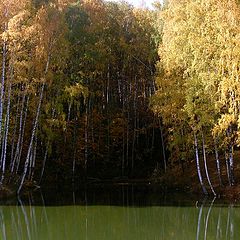 фото "Свет и тень"