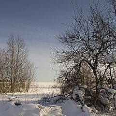 фото "Тихий шёпот о весне"