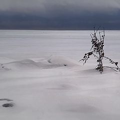 photo "Cold Landscape"