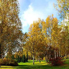 photo "In the autumn park"