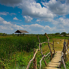 photo "Beauty of Sabaragamuwa"