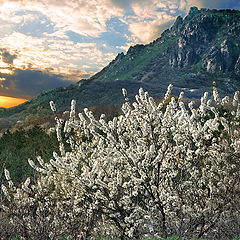 photo "Spring evening in mountain"