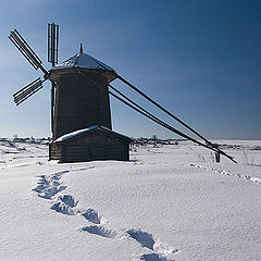 photo "By the Don Quijote's way"