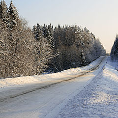 фото "Зимний лес"