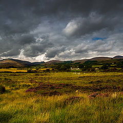 photo "Irish fields"