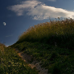 photo "Way to the Moon."