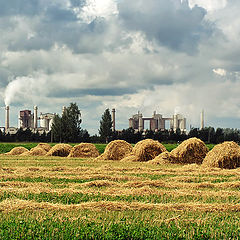 photo "Industrial-pastoral landscape"