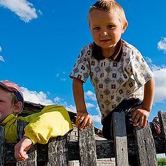 фото "братья"