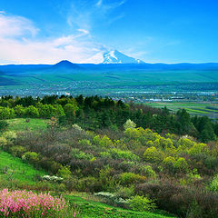 photo "Springtime in mountain"