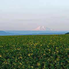 фото "Летний театр. Сцена"