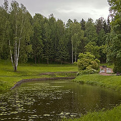 photo "summer rain ..."