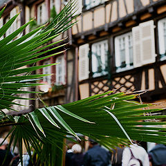 photo "Colmar, a street of bakers"