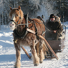 photo "Trip in cold weather..."