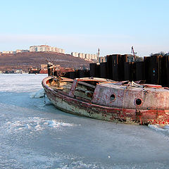 фото "Уставший морской"