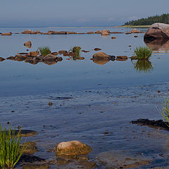 photo "Полуденный отлив"