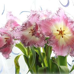 photo "Tulips"
