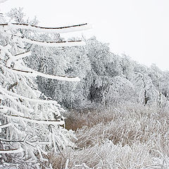 фото "Зимнее"