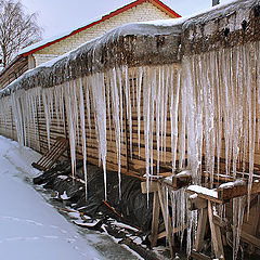 фото "После оттепели"