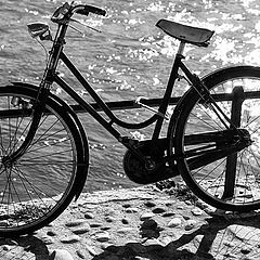 photo "The Bicycle"