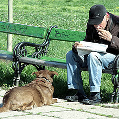 Фотоальбом "reporting"