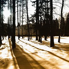 фото "зимние зарисовки"