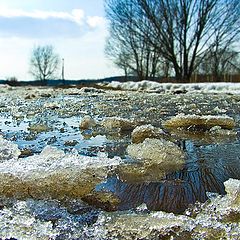 фото "Весенняя распутица"