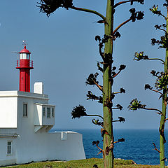 фото "THE LIGHTHOUSE"