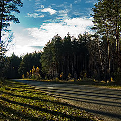 photo "Autumn shades"