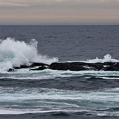 фото "Braking the waves"