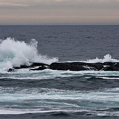 photo "Braking the waves"