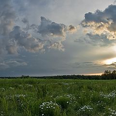 photo "Sunset on the field with daisies after storms"