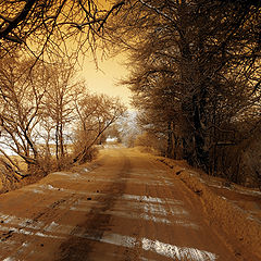 фото "через"