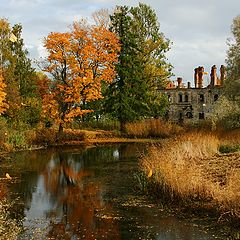 photo "Leaf fall"