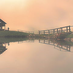 photo "Fog & solitude"