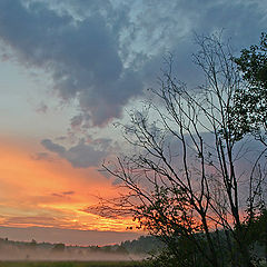 photo "Orange mood"