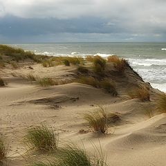 фото "Ветер с моря дул"