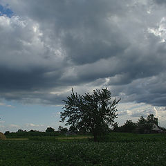 photo "Presage of the thunderstorm"