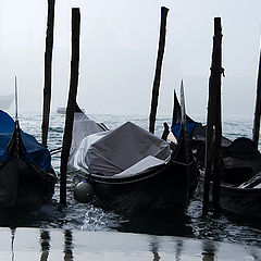 фото "Venice morning"