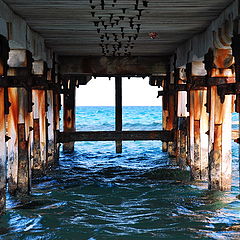 фото "Under the boardwalk..."