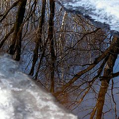 фото "Весеннее Равноденствие"