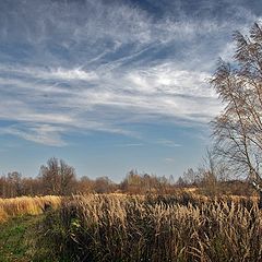 фото "Осенний ветер"