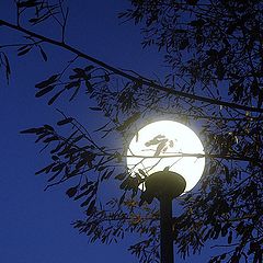 photo "город,ночь,луна,фонарь,парк"
