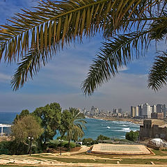 фото "Tel Aviv"