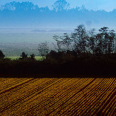 photo "Spectral landscape"