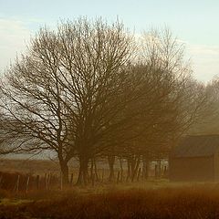 photo "misty day"