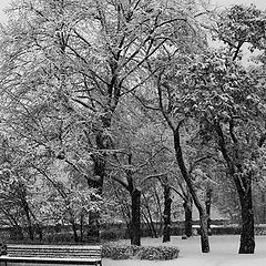 фото "замерло..."