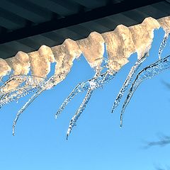 photo "Here even the icicles curves ..."